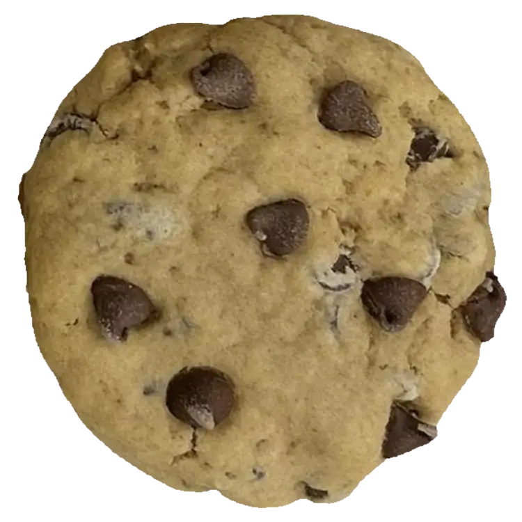Chocolate Chip