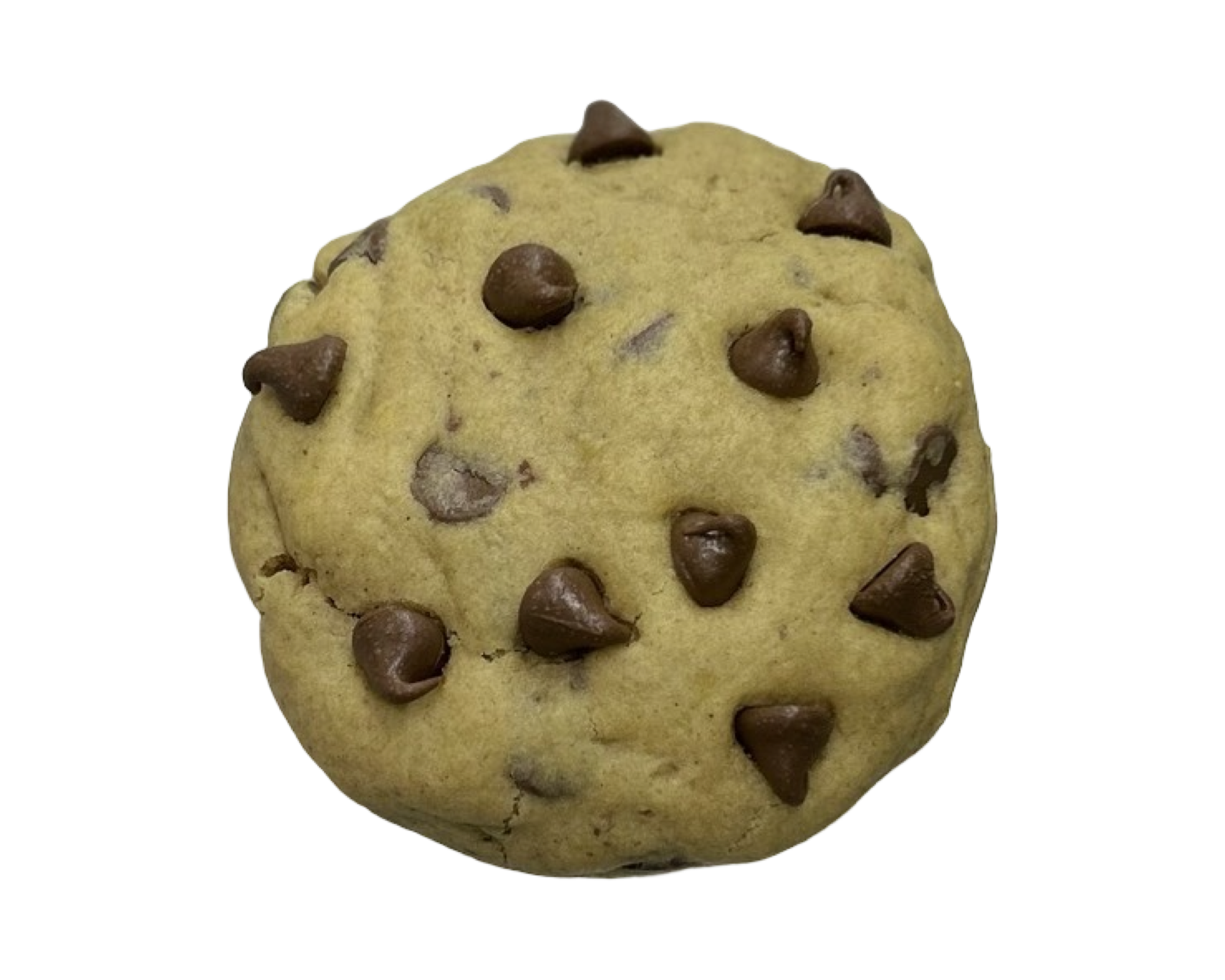 Chocolate Chip
